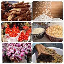 Food scarcity: Katsina issues executive order, sets up task force to tackle hoarding